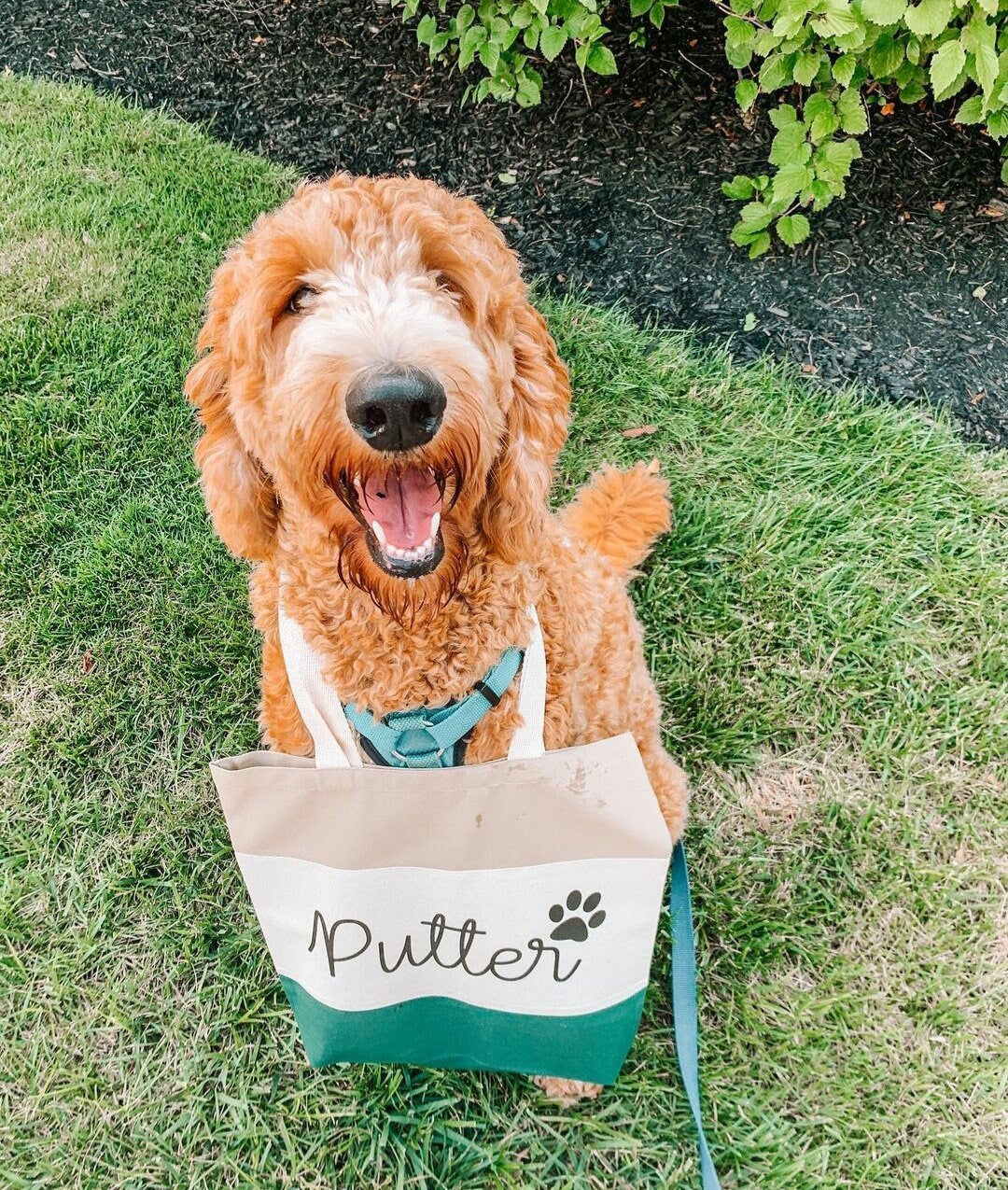 Custom Dog Mom Gift, Personalized Pet Bag, Dog Mom Tote, Custom Pet Tote Bag, Pet Gift, Personalized Tote Bag Women, Cotton Canvas Tote