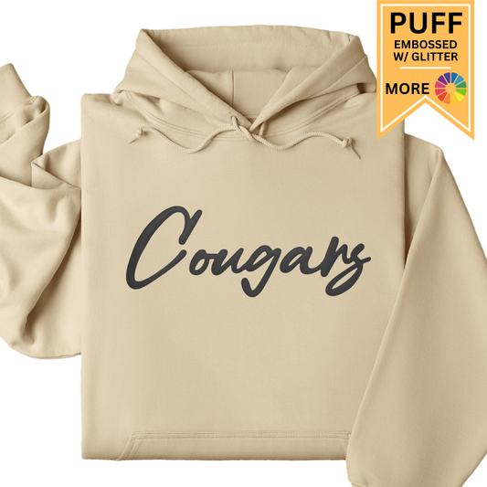 Custom School / Team Hoodie (Font 25)